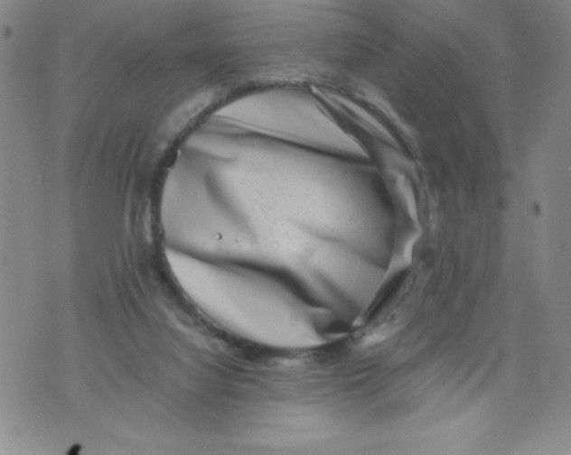 X0000076070068200610152238