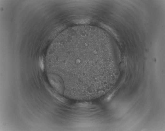 X0000076070069200610152238