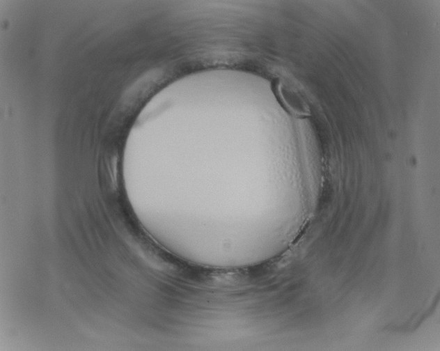 X0000076070070200610152238