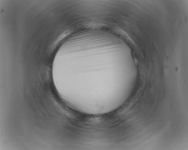 X0000076070071200610152238