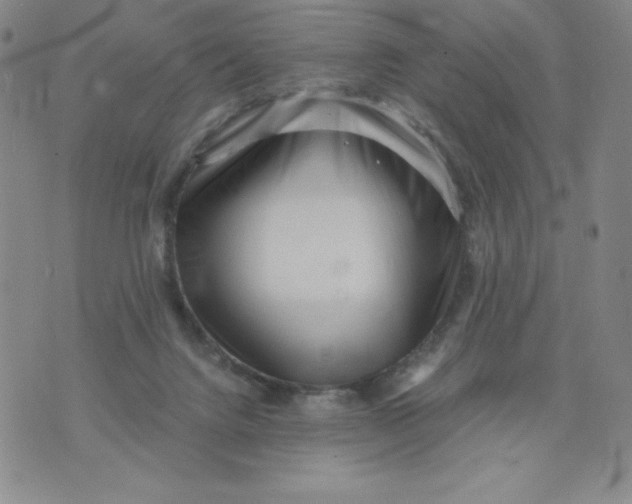 X0000076070072200610152238