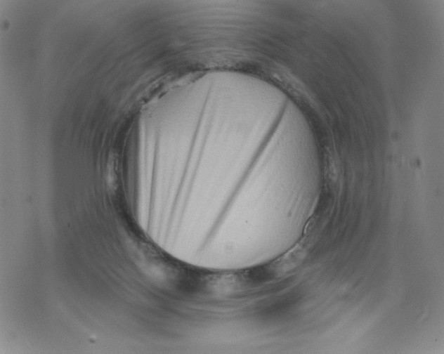 X0000076070074200610152238