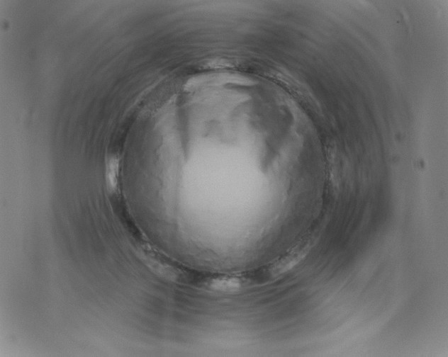 X0000076070075200610152238