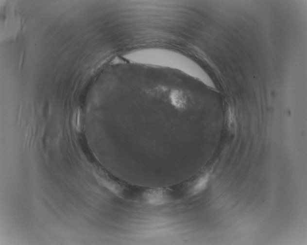 X0000076070076200610152238