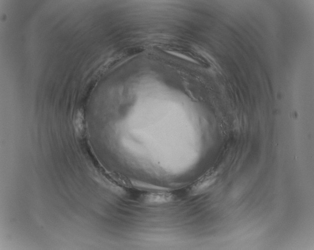 X0000076070077200610152238