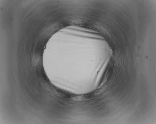 X0000076070079200610152238