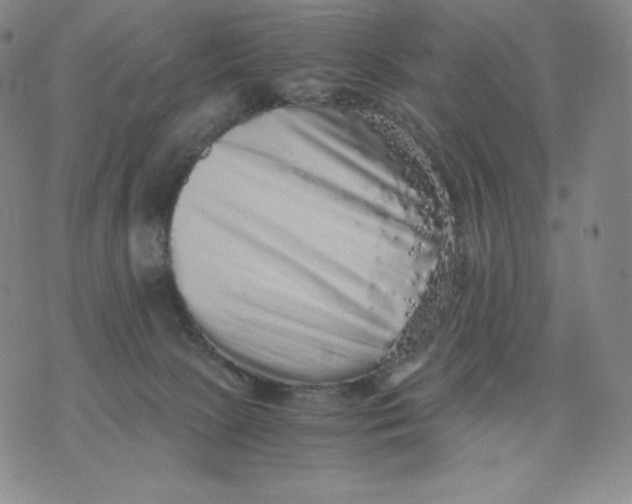 X0000076070081200610152238