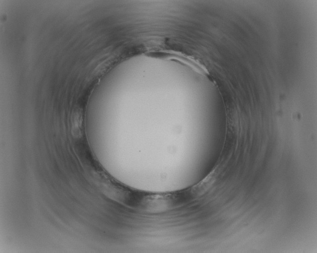 X0000076070082200610152238