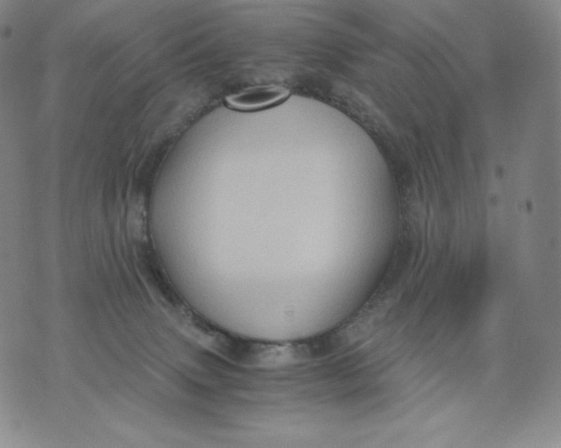 X0000076070083200610152238