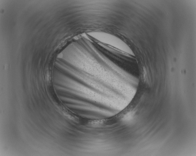 X0000076070084200610152238