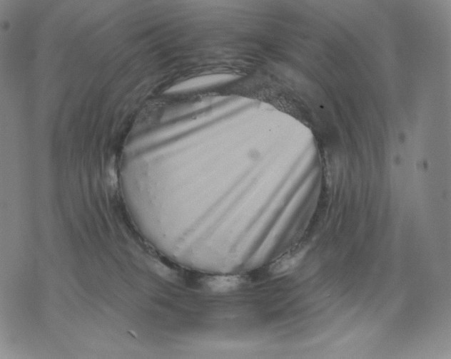 X0000076070085200610152238