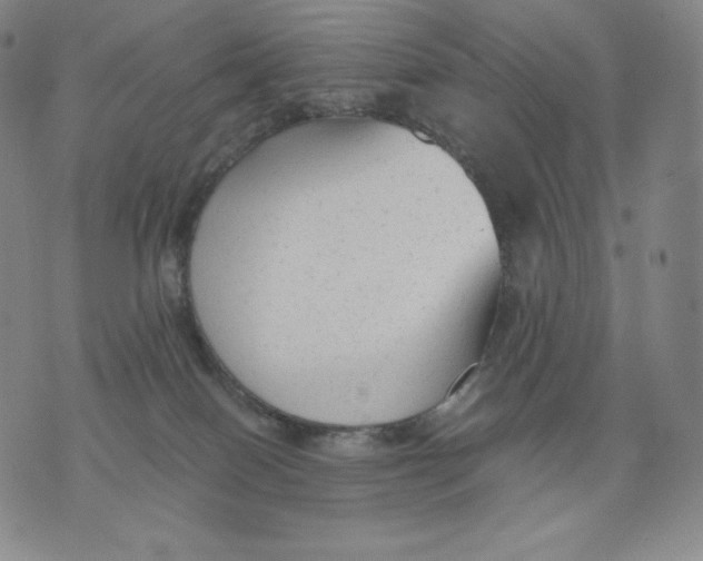 X0000076070086200610152238