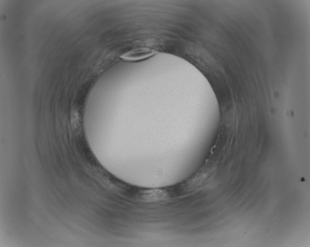 X0000076070087200610152238