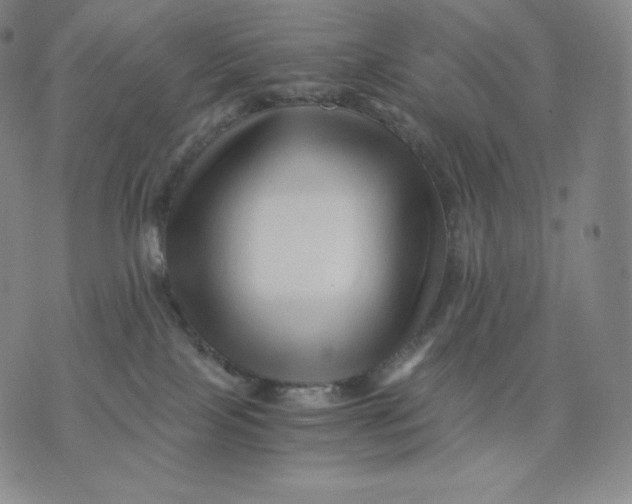 X0000076070089200610152238