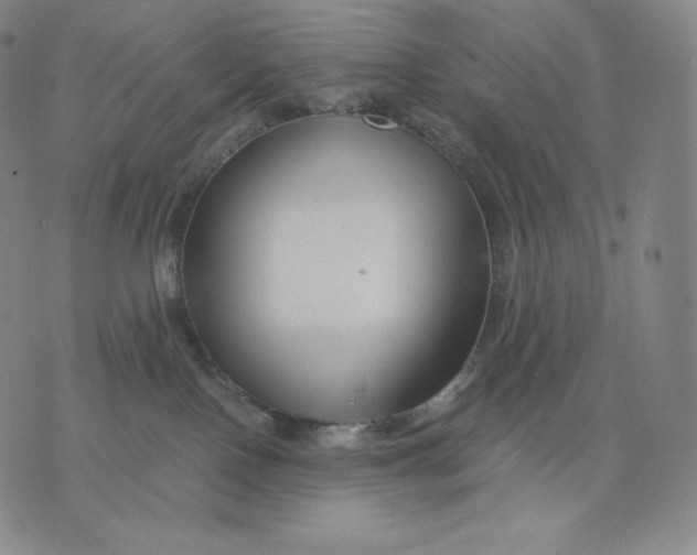 X0000076070090200610152238