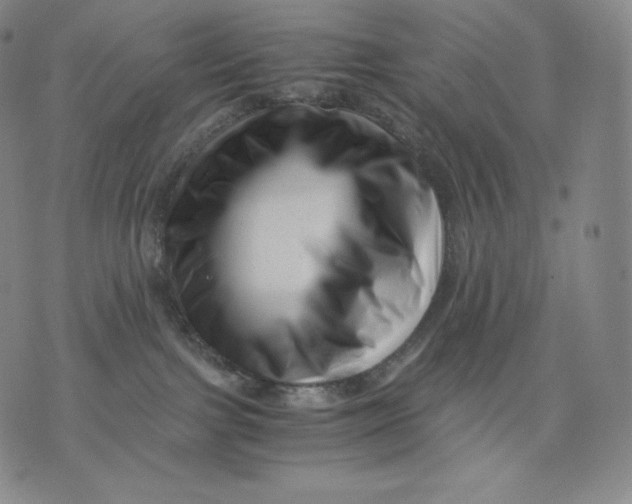 X0000076070091200610152238