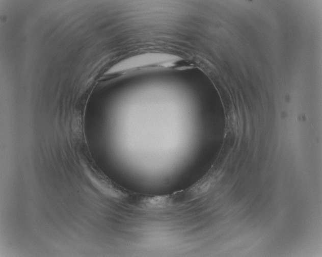 X0000076070092200610152238