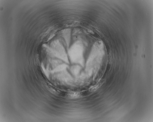 X0000076070093200610152238