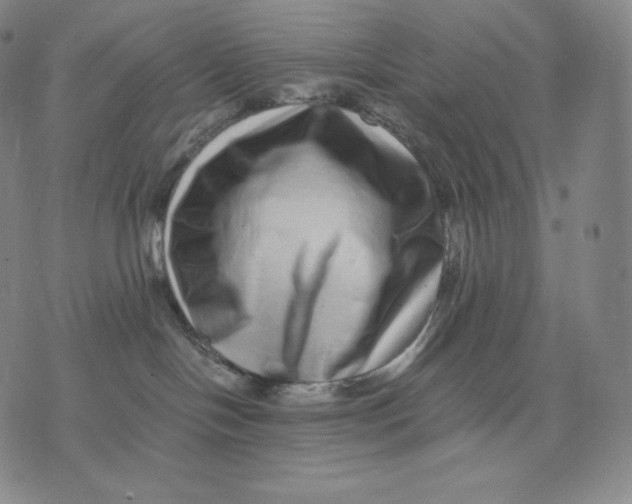 X0000076070094200610152238