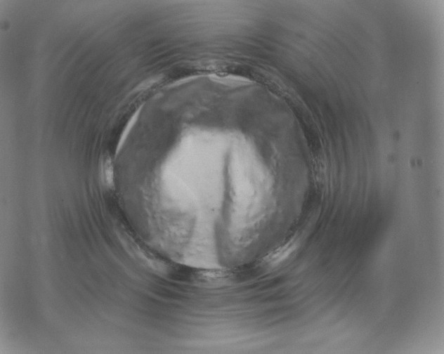 X0000076070095200610152238