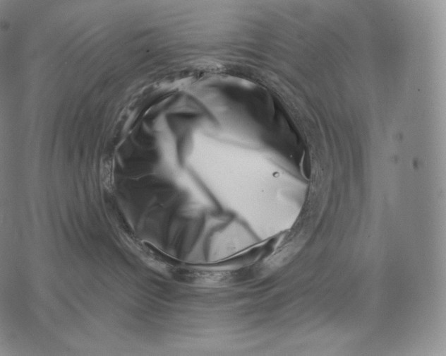 X0000076070096200610152238