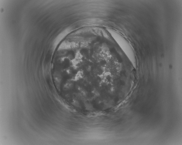 X0000076070099200610152238