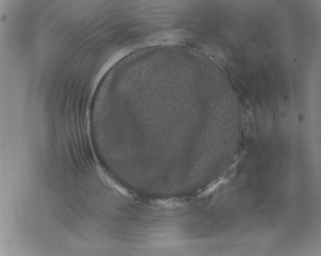 X0000076070100200610152238