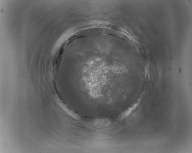 X0000076070101200610152238