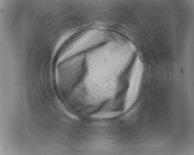 X0000076070102200610152238