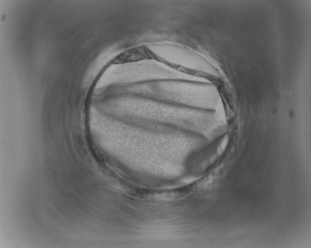 X0000076070103200610152238