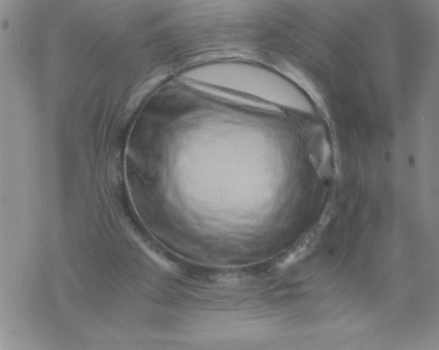 X0000076070105200610152238