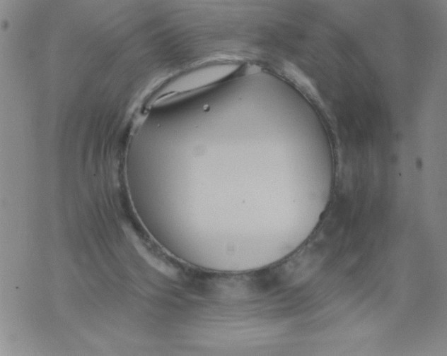 X0000076070106200610152237