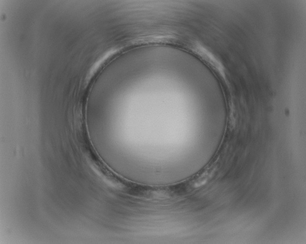 X0000076070107200610152237