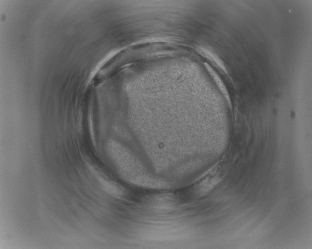 X0000076070108200610152237