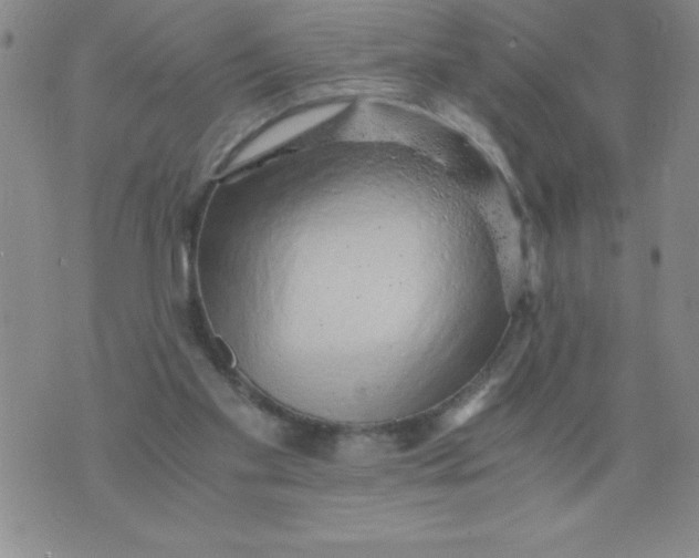 X0000076070109200610152237