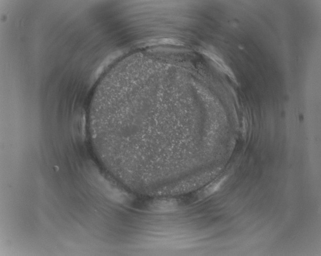 X0000076070110200610152237