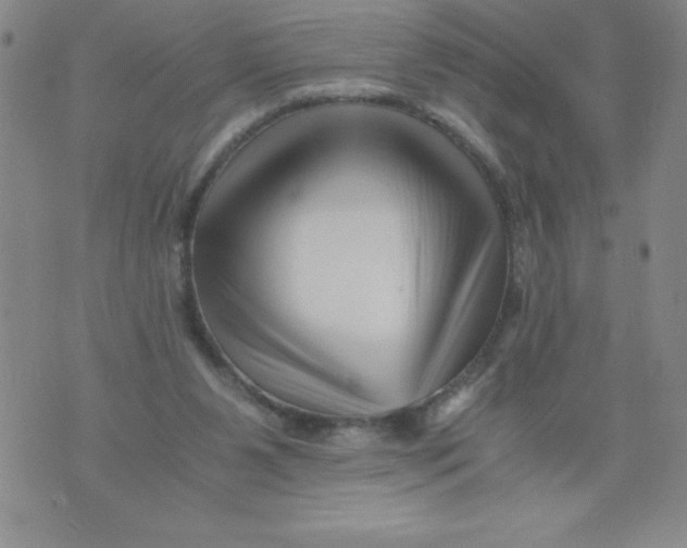 X0000076070111200610152237