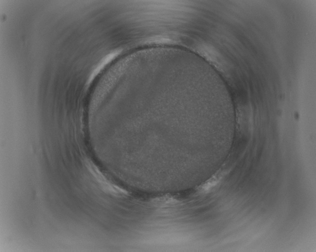 X0000076070112200610152237