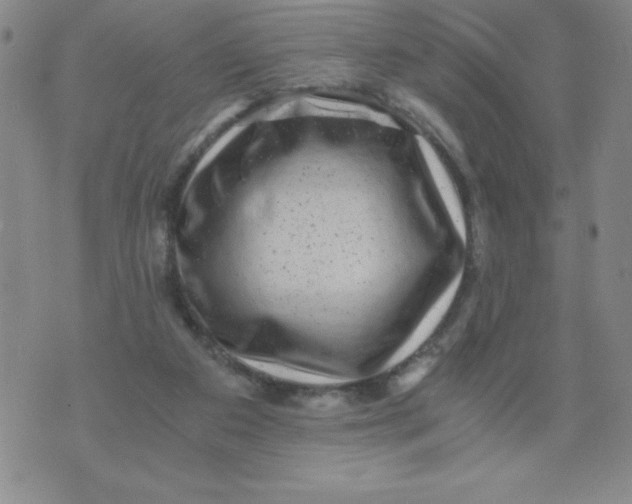 X0000076070113200610152237