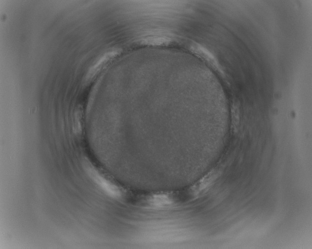 X0000076070114200610152237