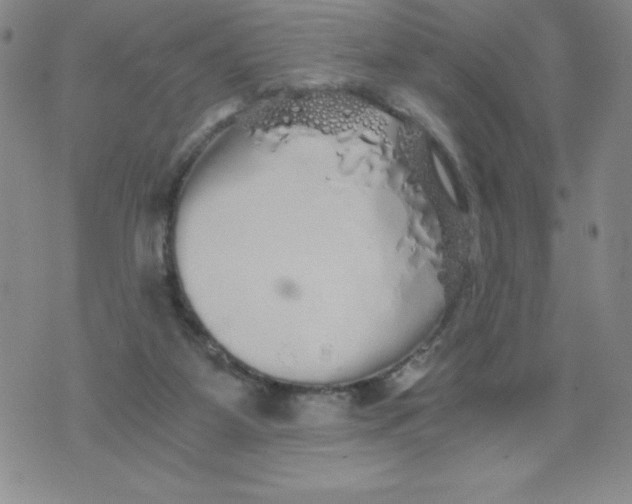 X0000076070115200610152237