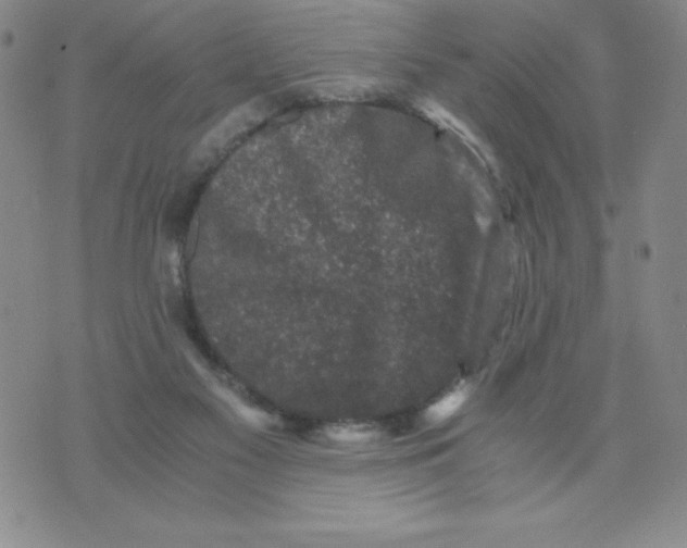 X0000076070117200610152237