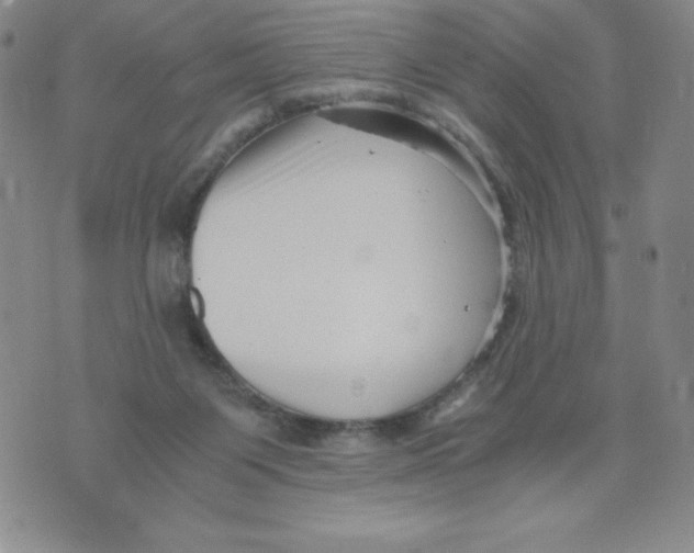 X0000076070119200610152237