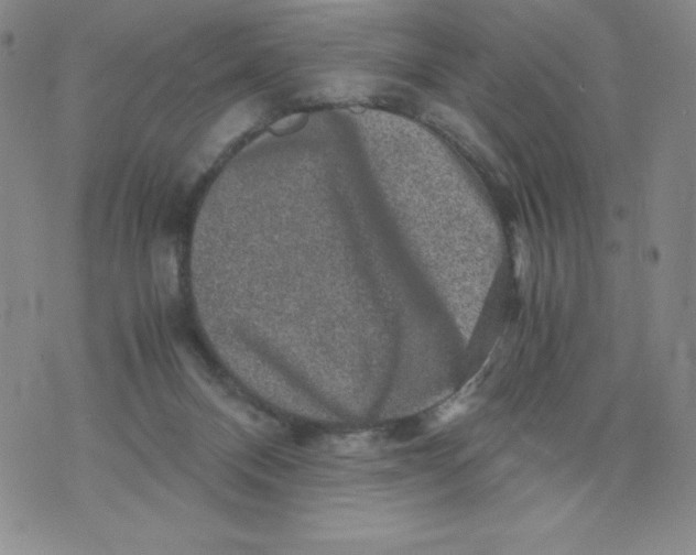 X0000076070120200610152237