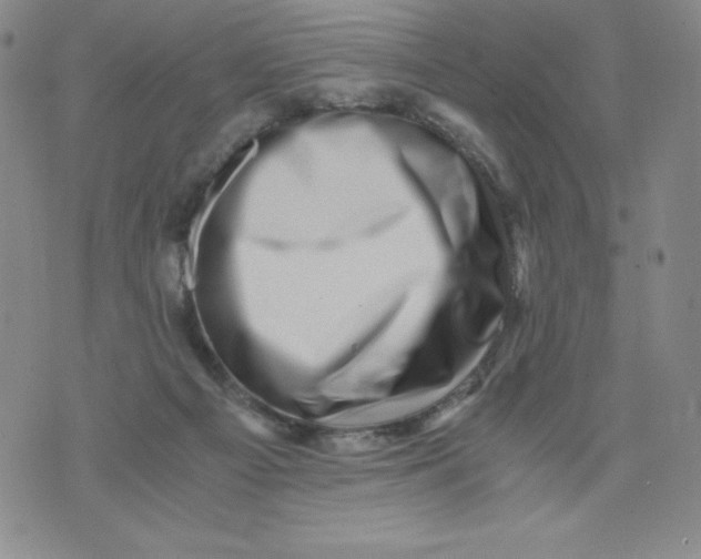 X0000076070121200610152237