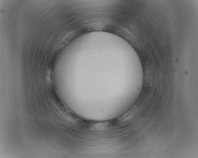 X0000076070122200610152237