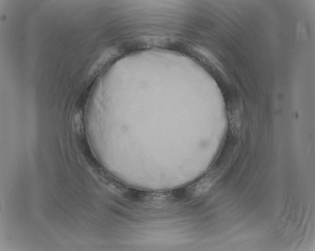 X0000076070123200610152237