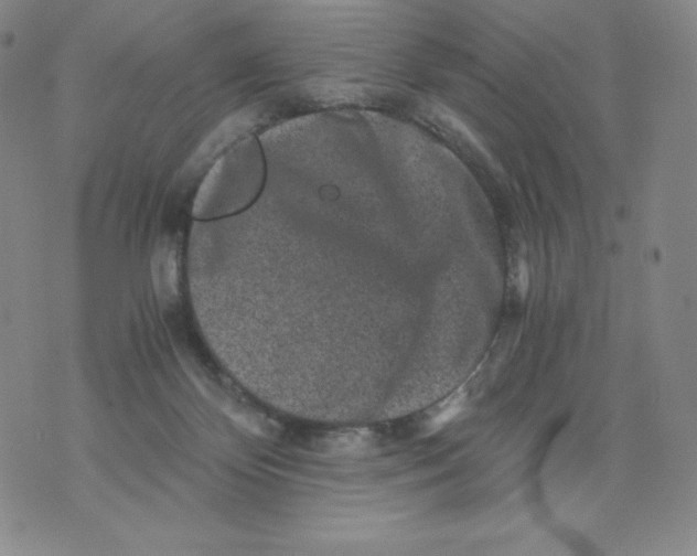 X0000076070124200610152237