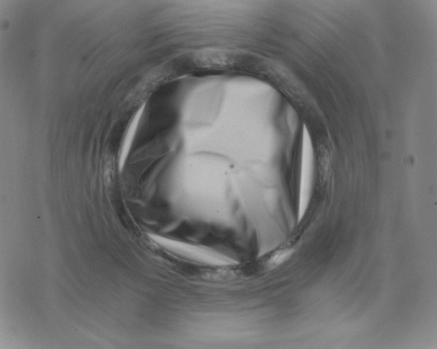 X0000076070125200610152237