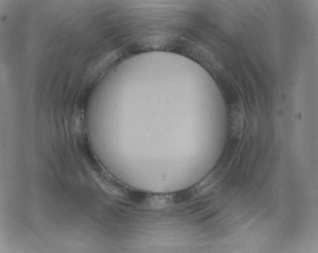 X0000076070126200610152237